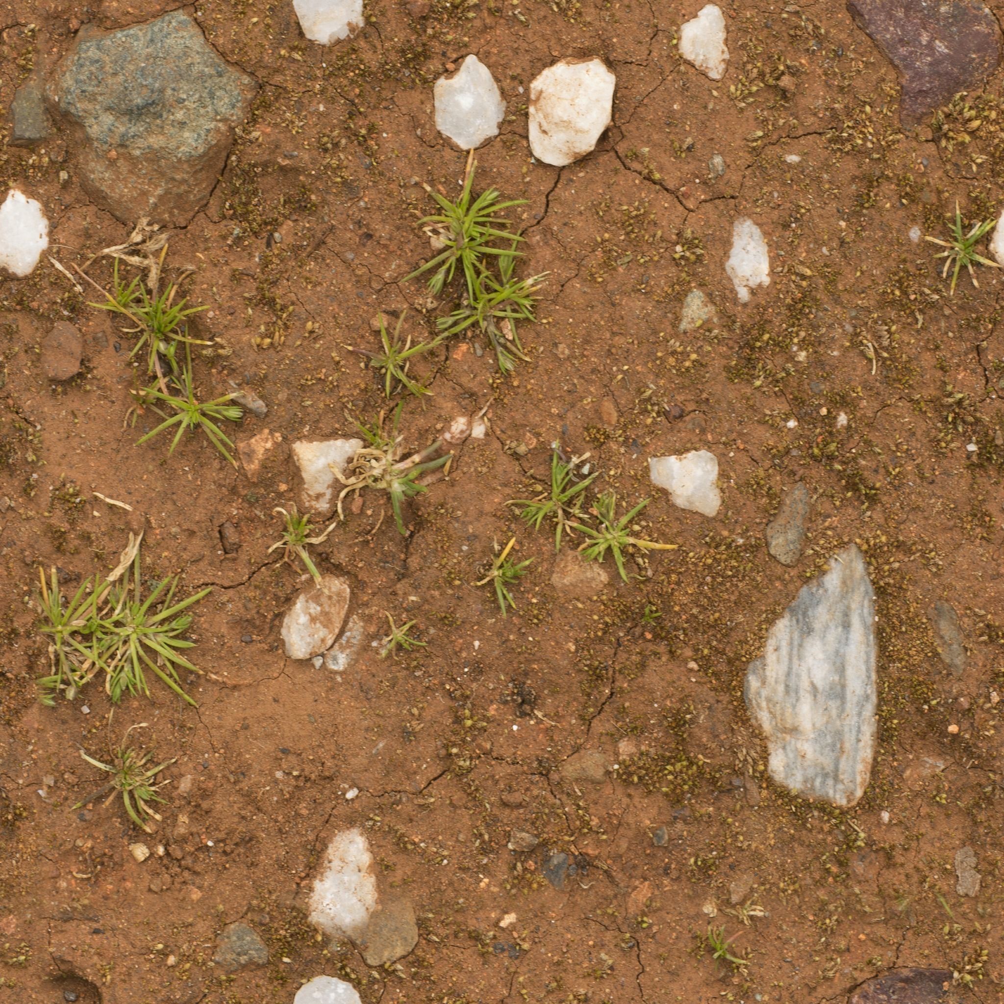 Dirt 10 Texture_3
