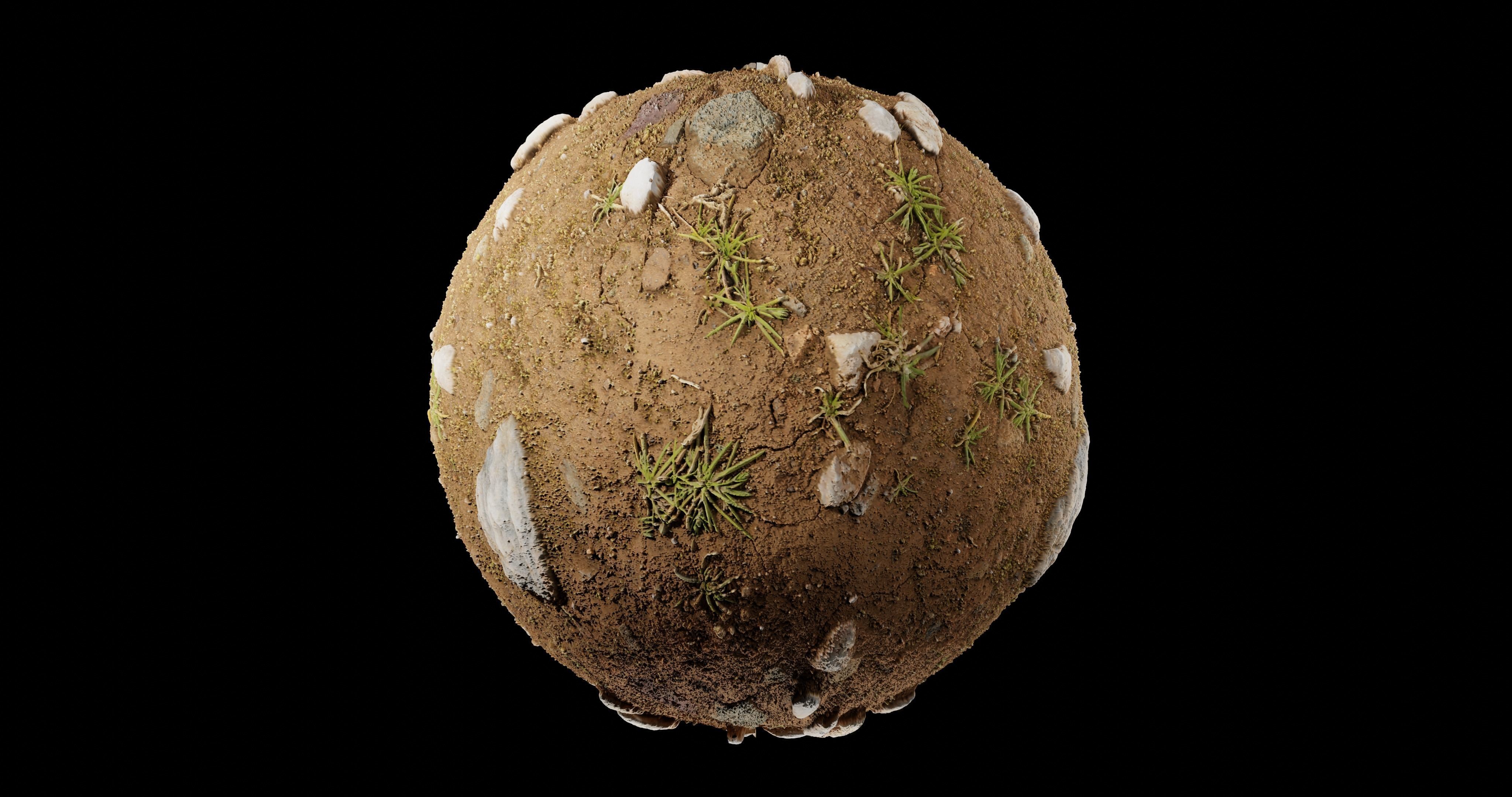 Dirt 10 Texture_1