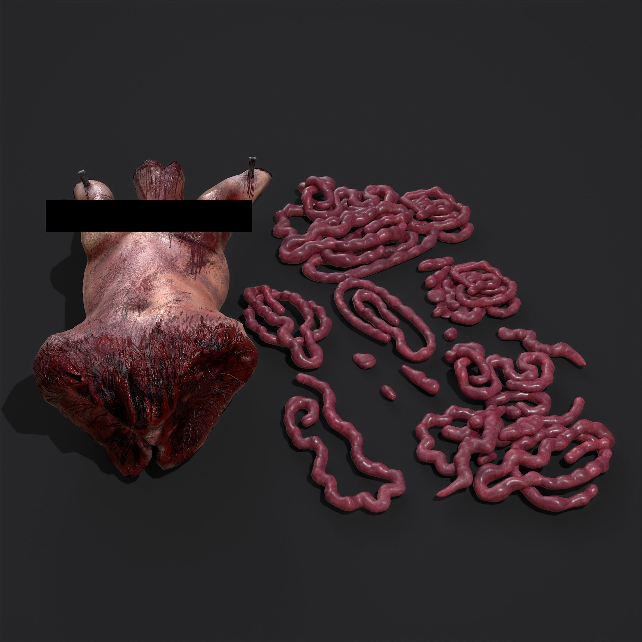 Intestines Torso and Severed Leg 3D Model Collection_20