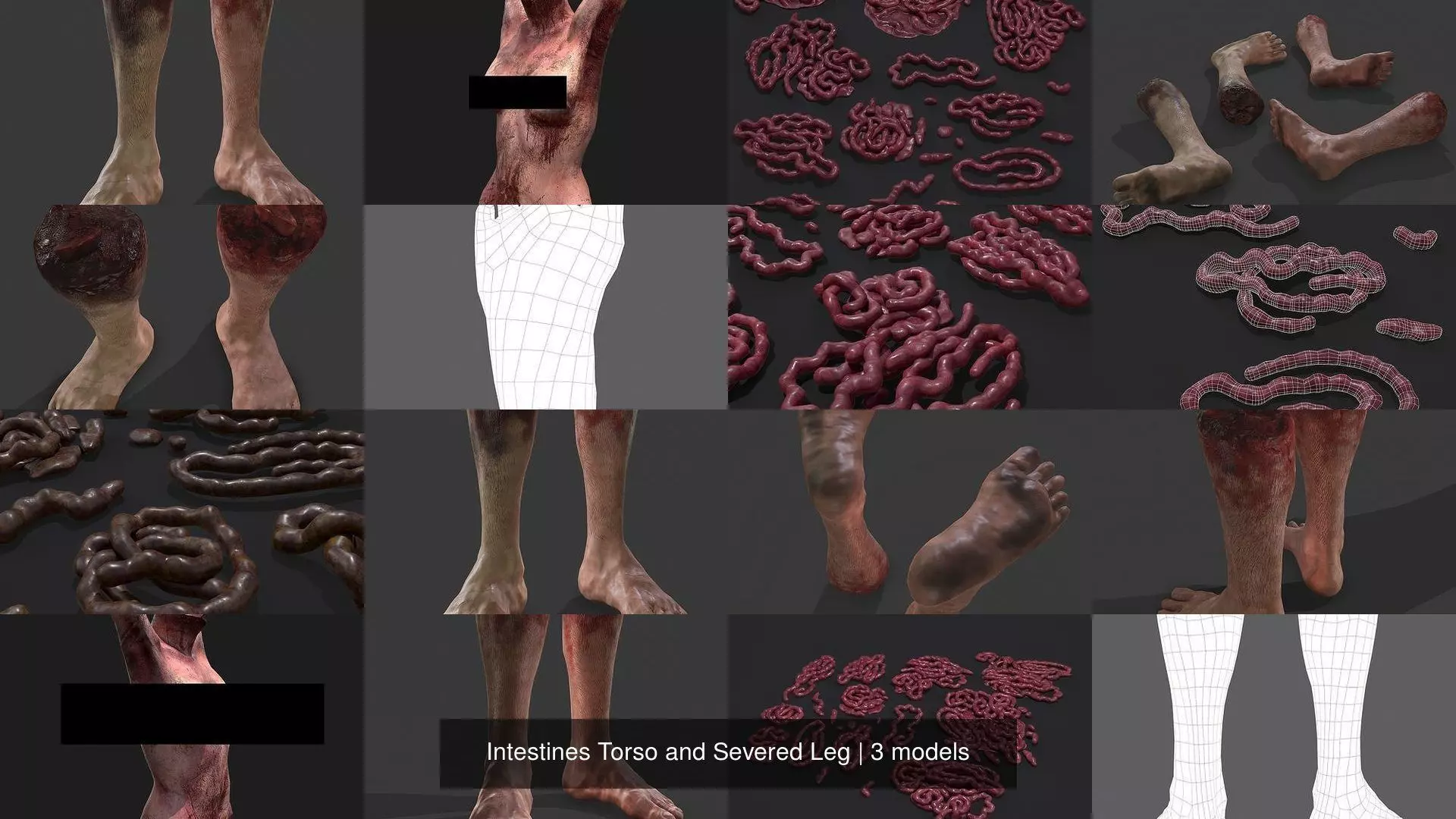 Intestines Torso and Severed Leg 3D Model Collection_4