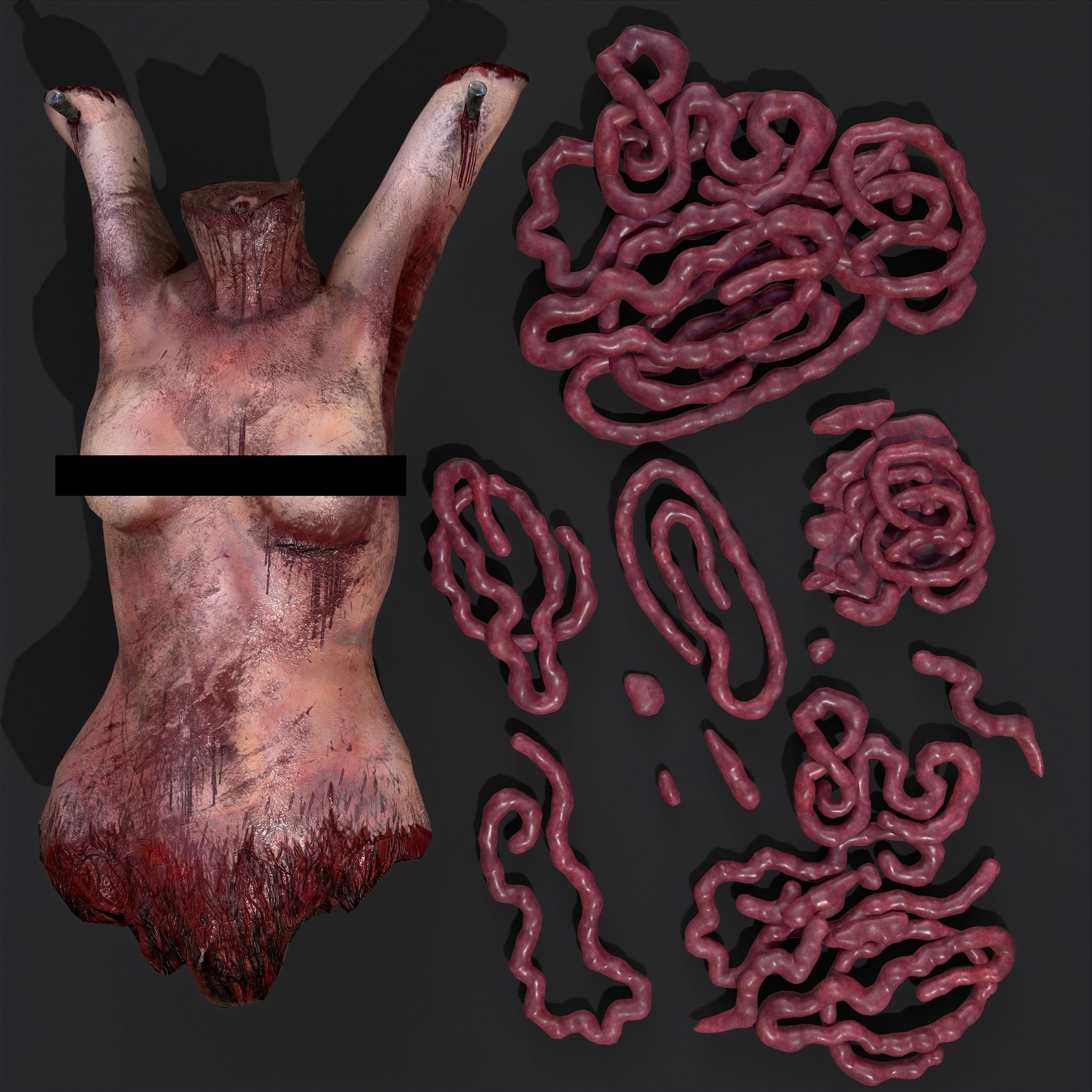 Intestines Torso and Severed Leg 3D Model Collection_12