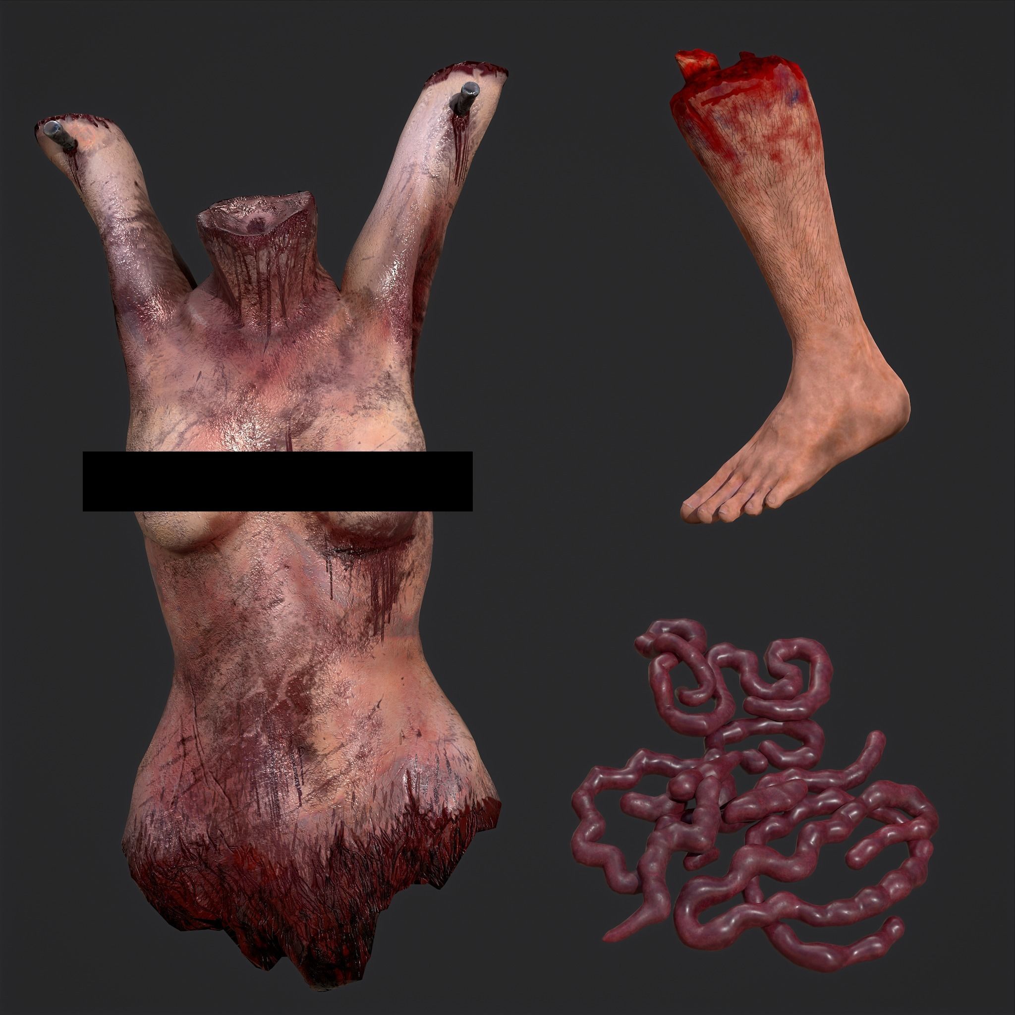 Intestines Torso and Severed Leg 3D Model Collection_11