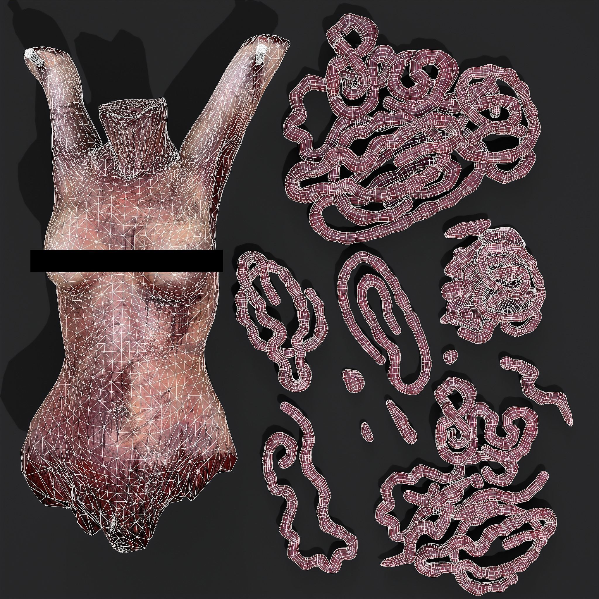 Intestines Torso and Severed Leg 3D Model Collection_10
