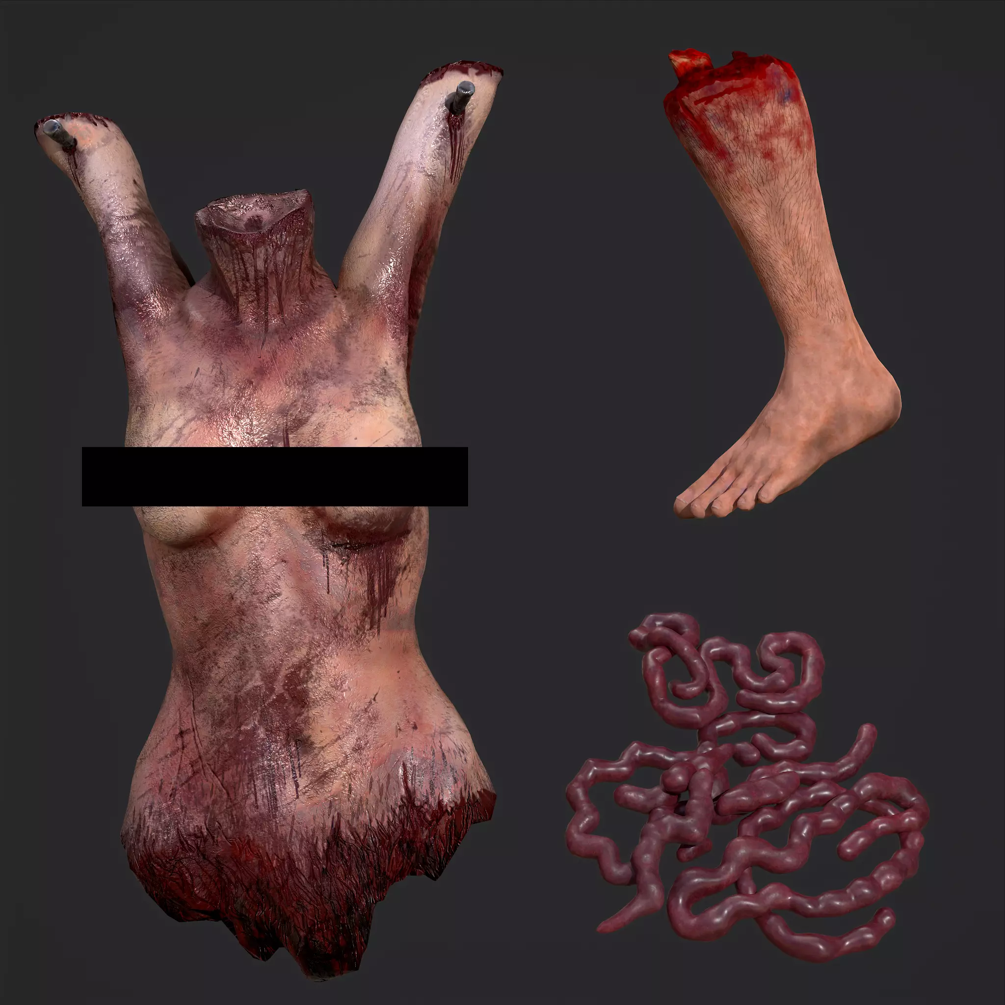 Intestines Torso and Severed Leg 3D Model Collection_0