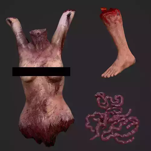 Intestines Torso and Severed Leg 3D Model Collection