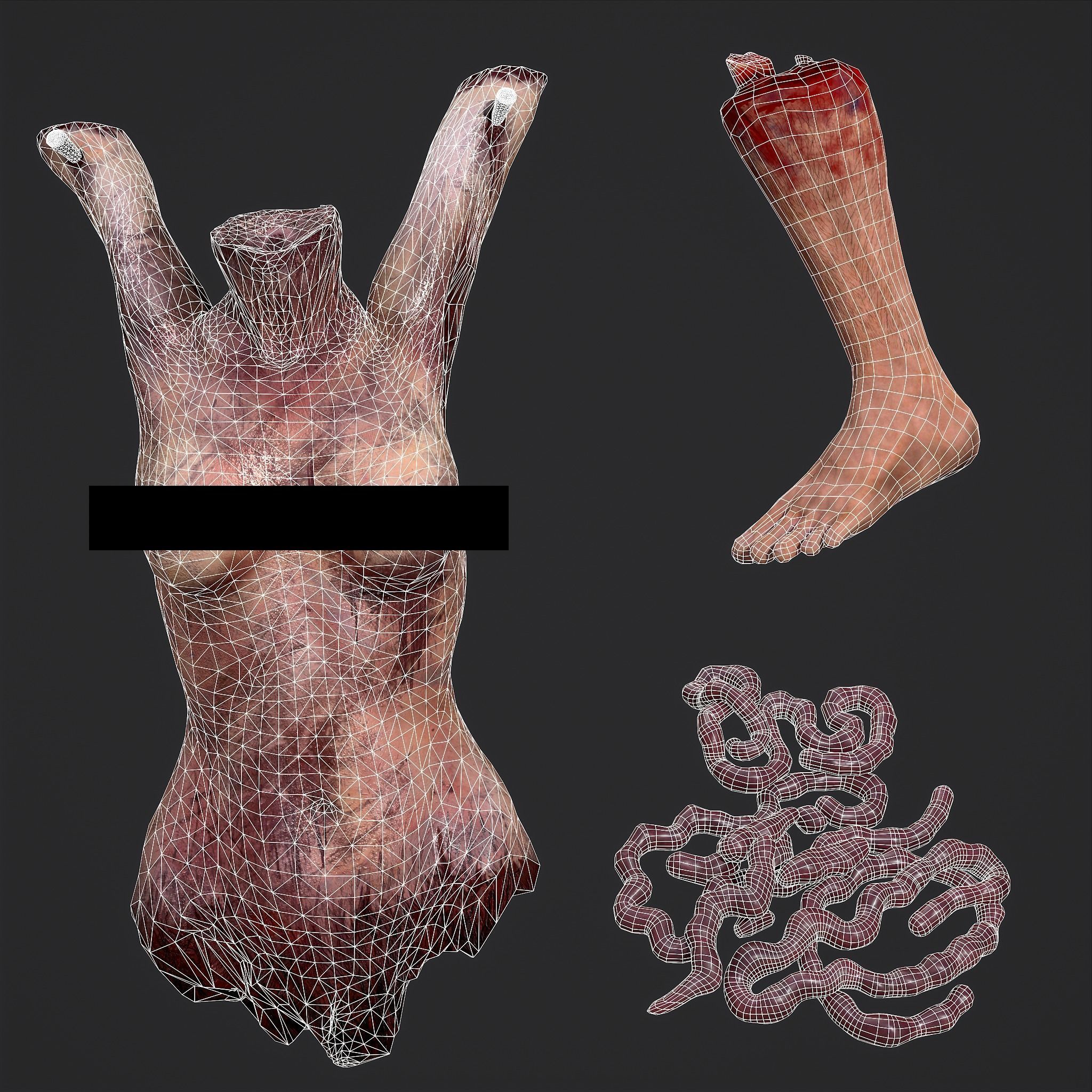Intestines Torso and Severed Leg 3D Model Collection_5