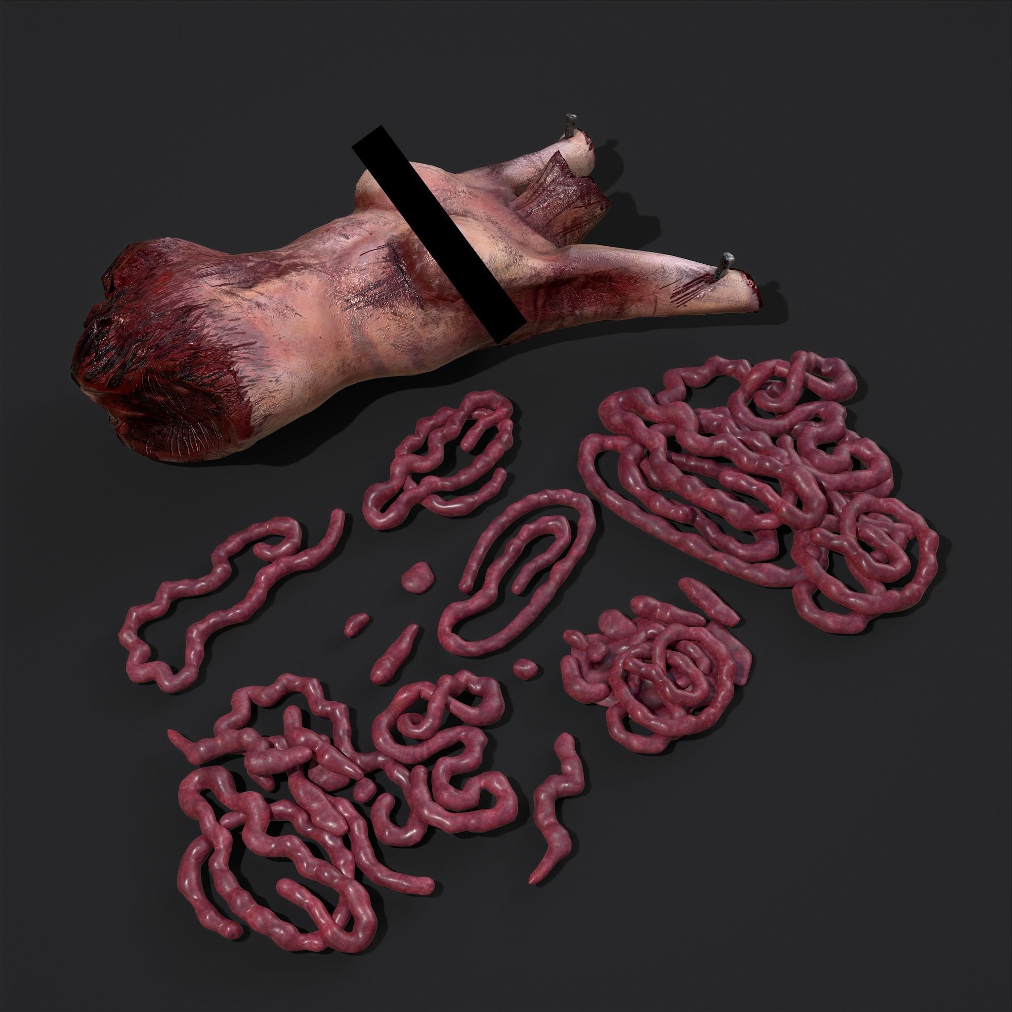 Intestines Torso and Severed Leg 3D Model Collection_17