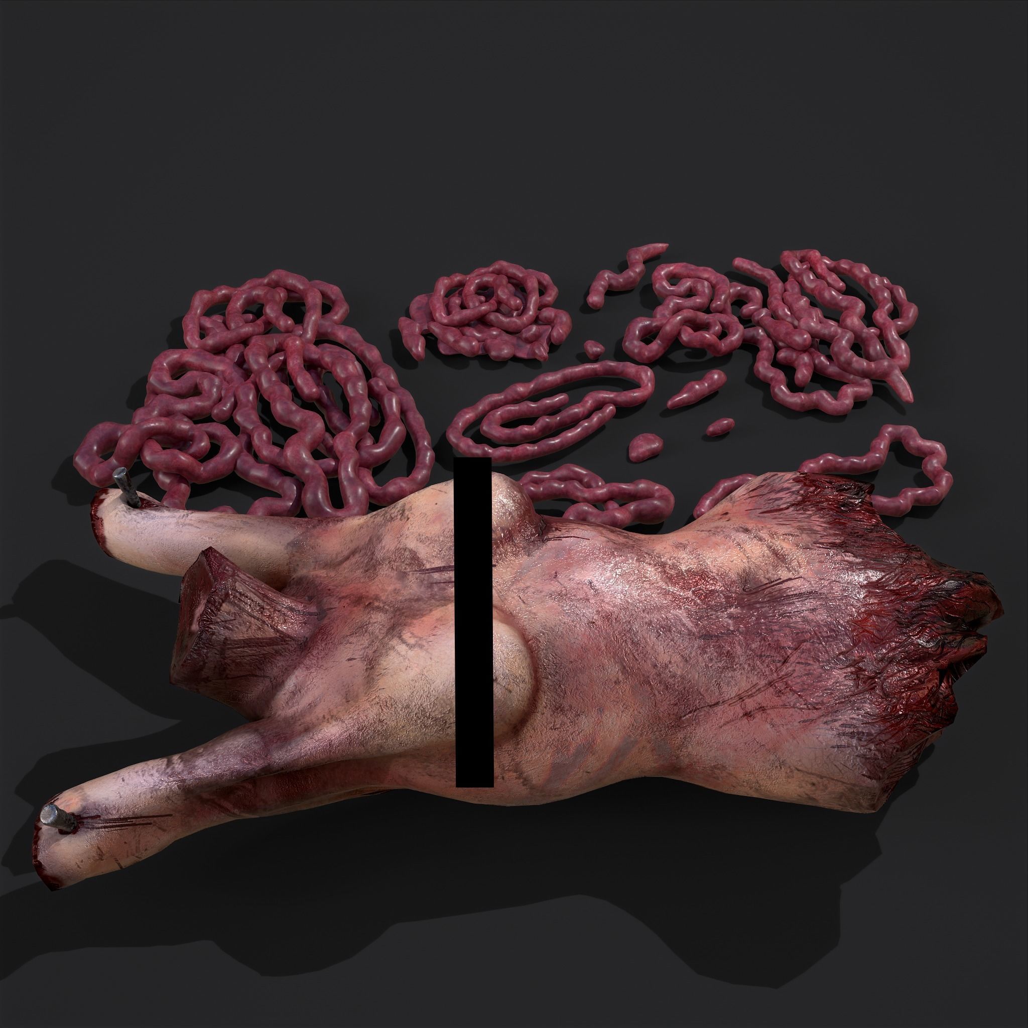 Intestines Torso and Severed Leg 3D Model Collection_19