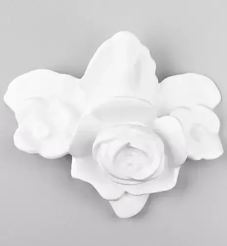 Gypsum rose