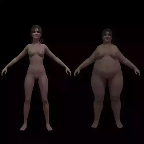 Fat and skinny woman shapes