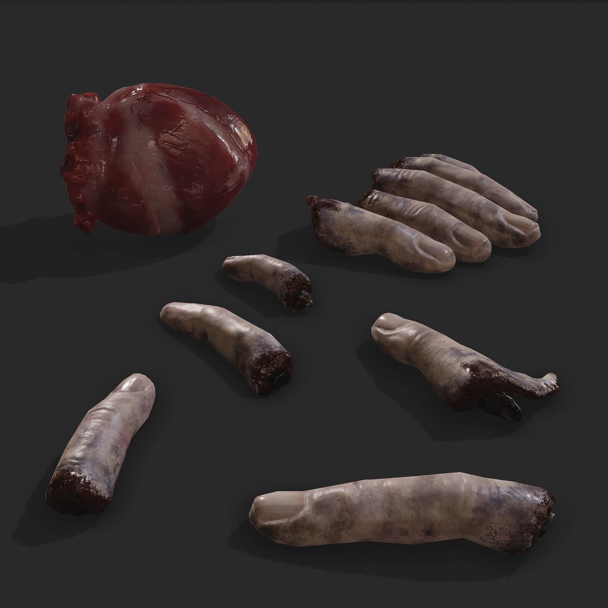 Severed Body Parts Medium Pack 3D Model Collection_30