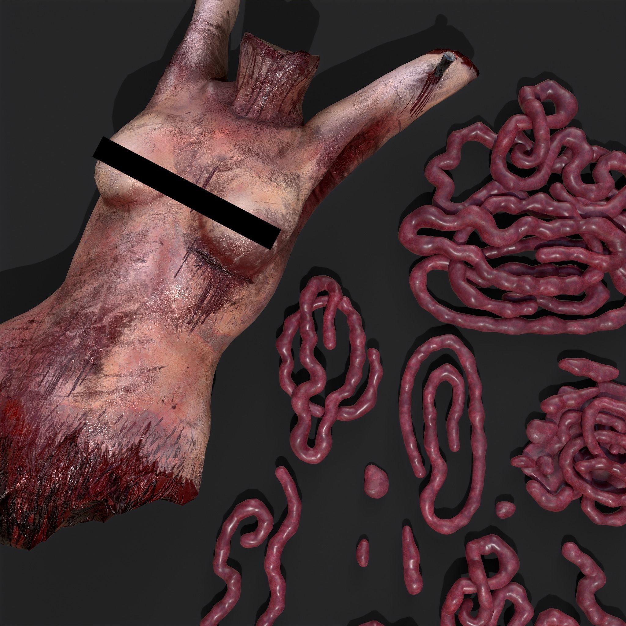 Severed Body Parts Medium Pack 3D Model Collection_20