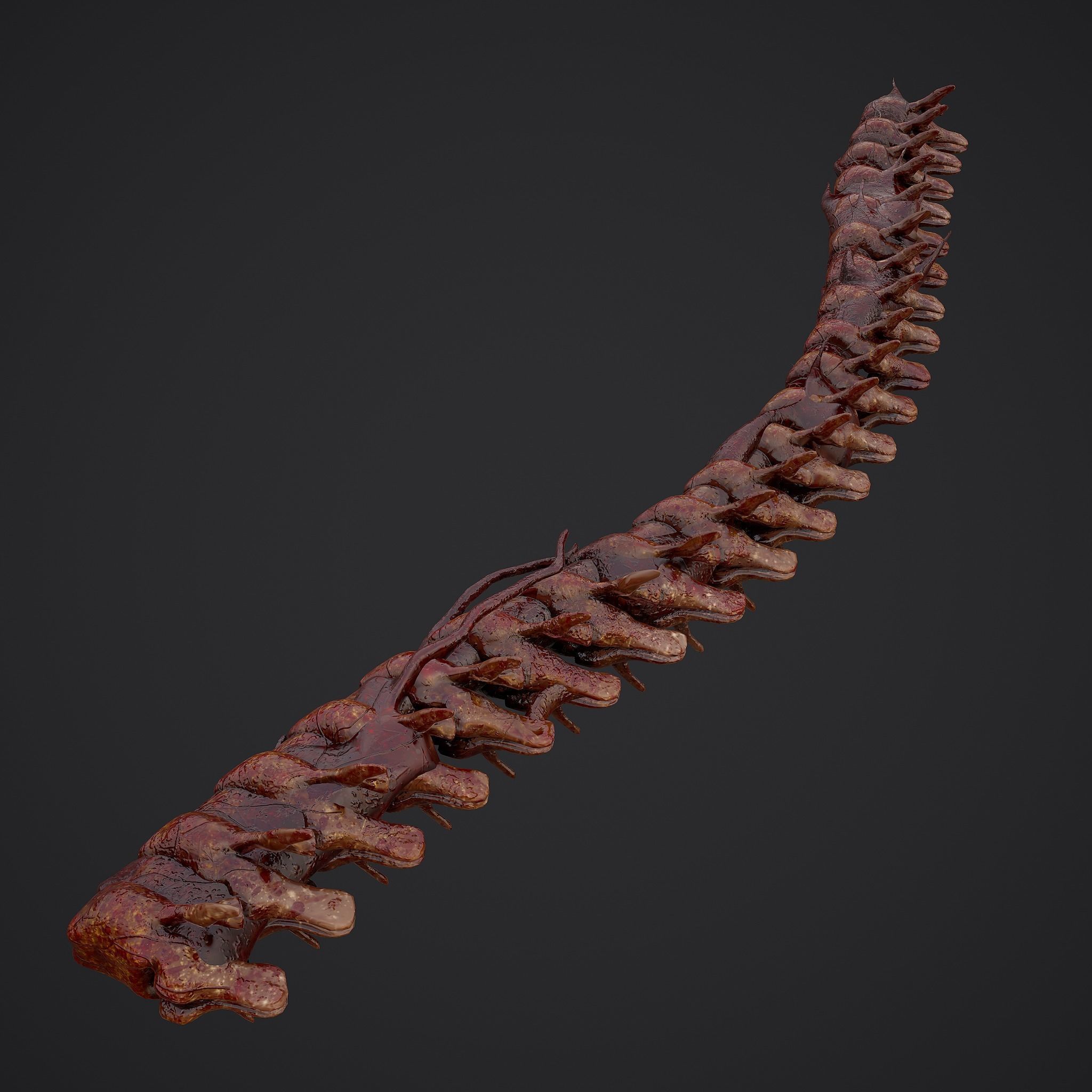 Severed Body Parts Medium Pack 3D Model Collection_45