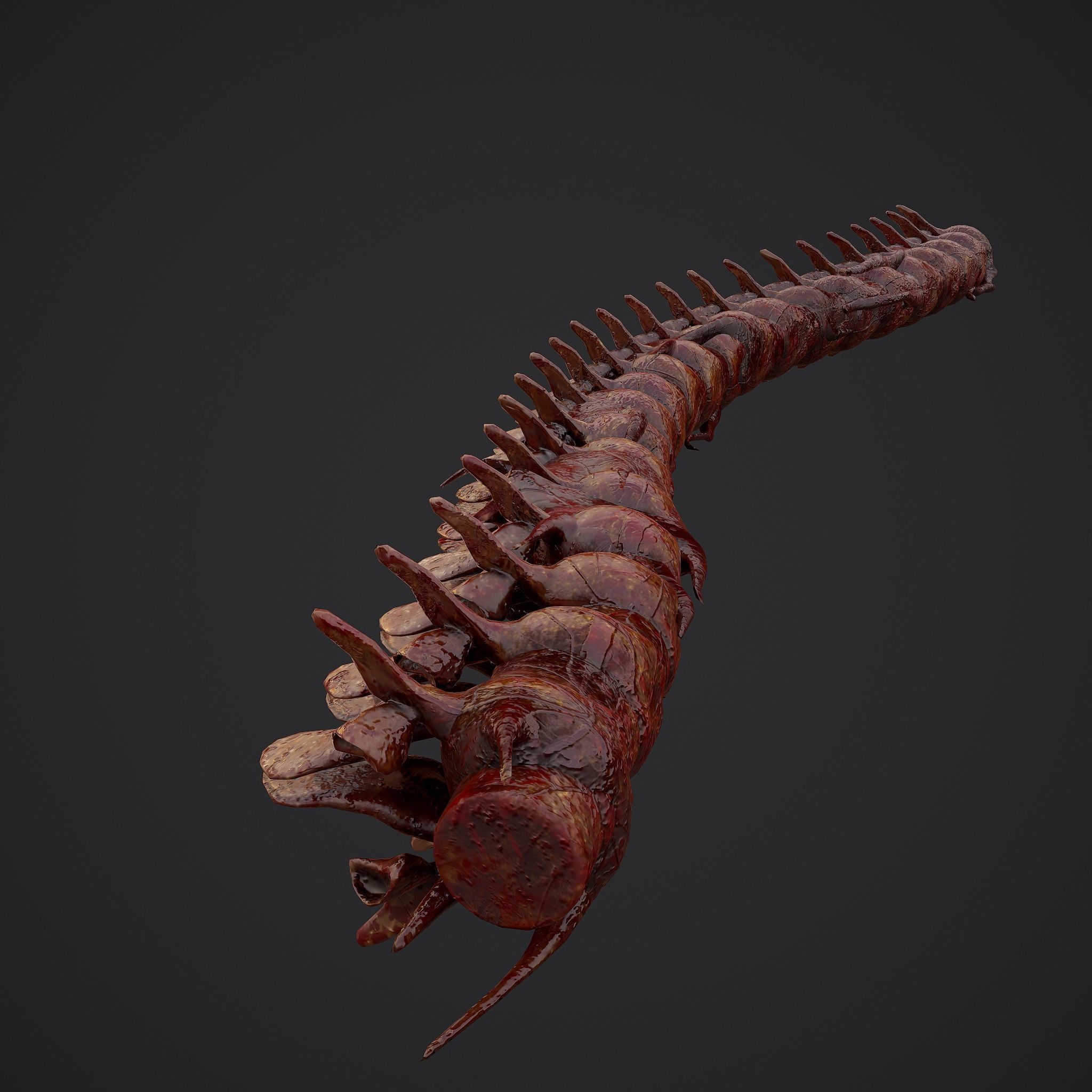 Severed Body Parts Medium Pack 3D Model Collection_46