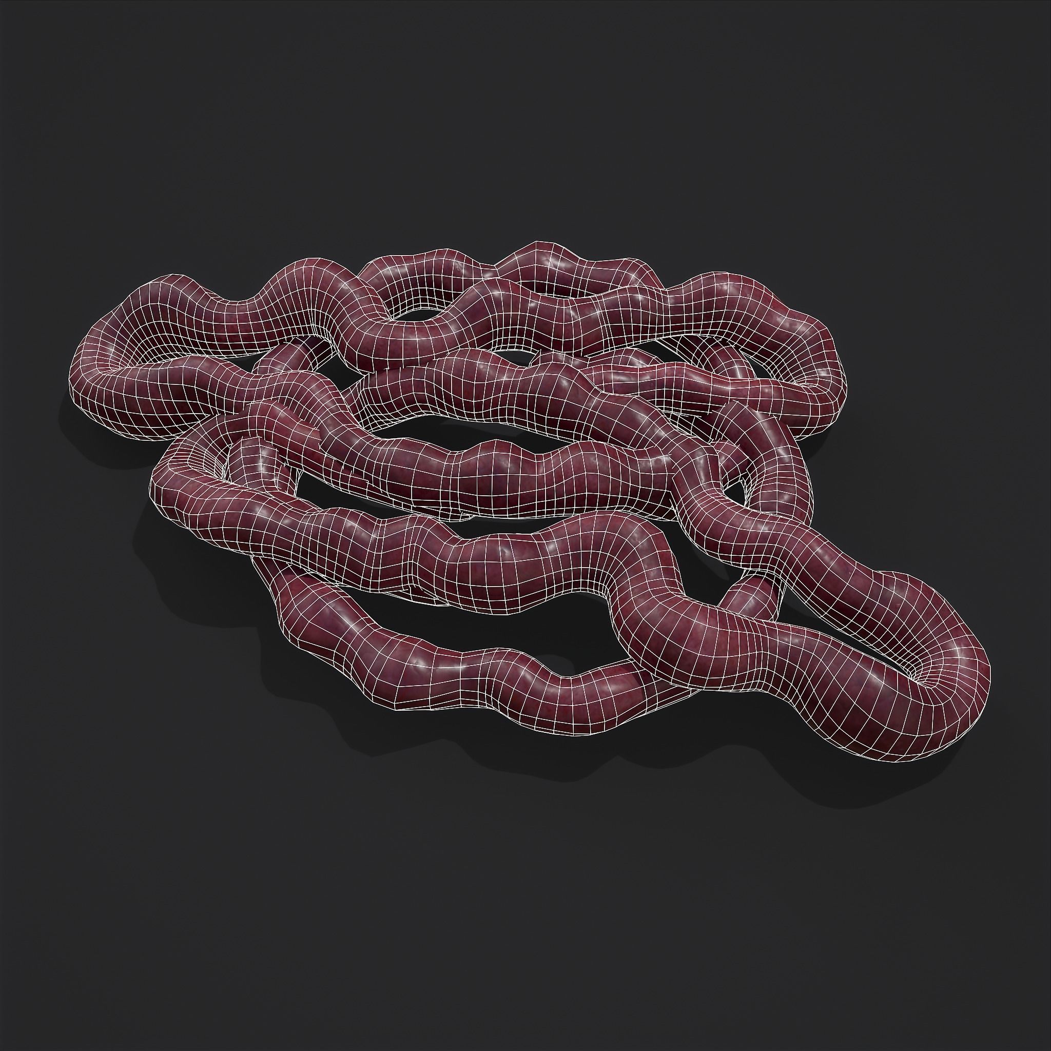 Severed Body Parts Medium Pack 3D Model Collection_44