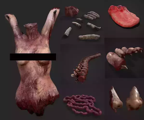Severed Body Parts Medium Pack 3D Model Collection