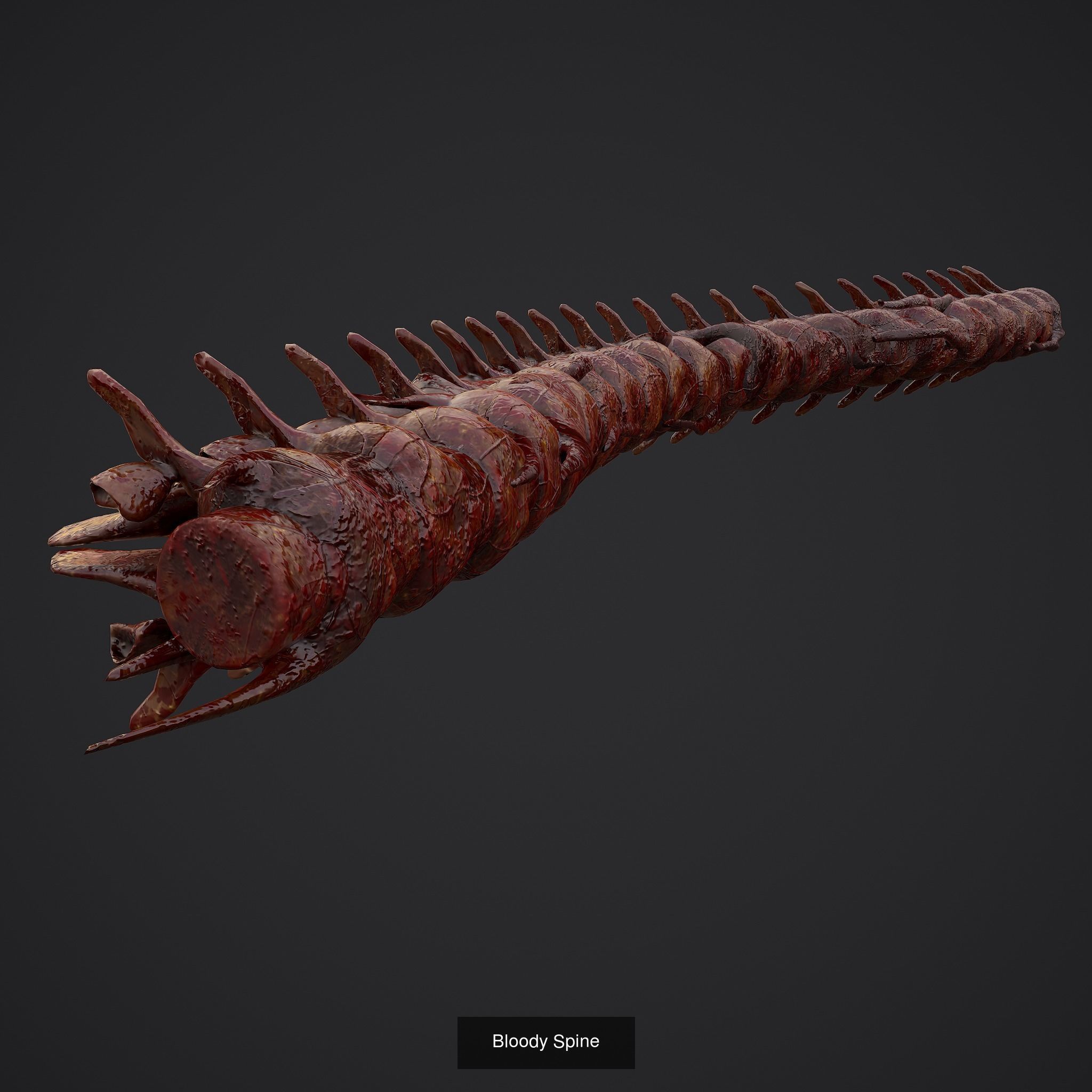 Severed Body Parts Medium Pack 3D Model Collection_14