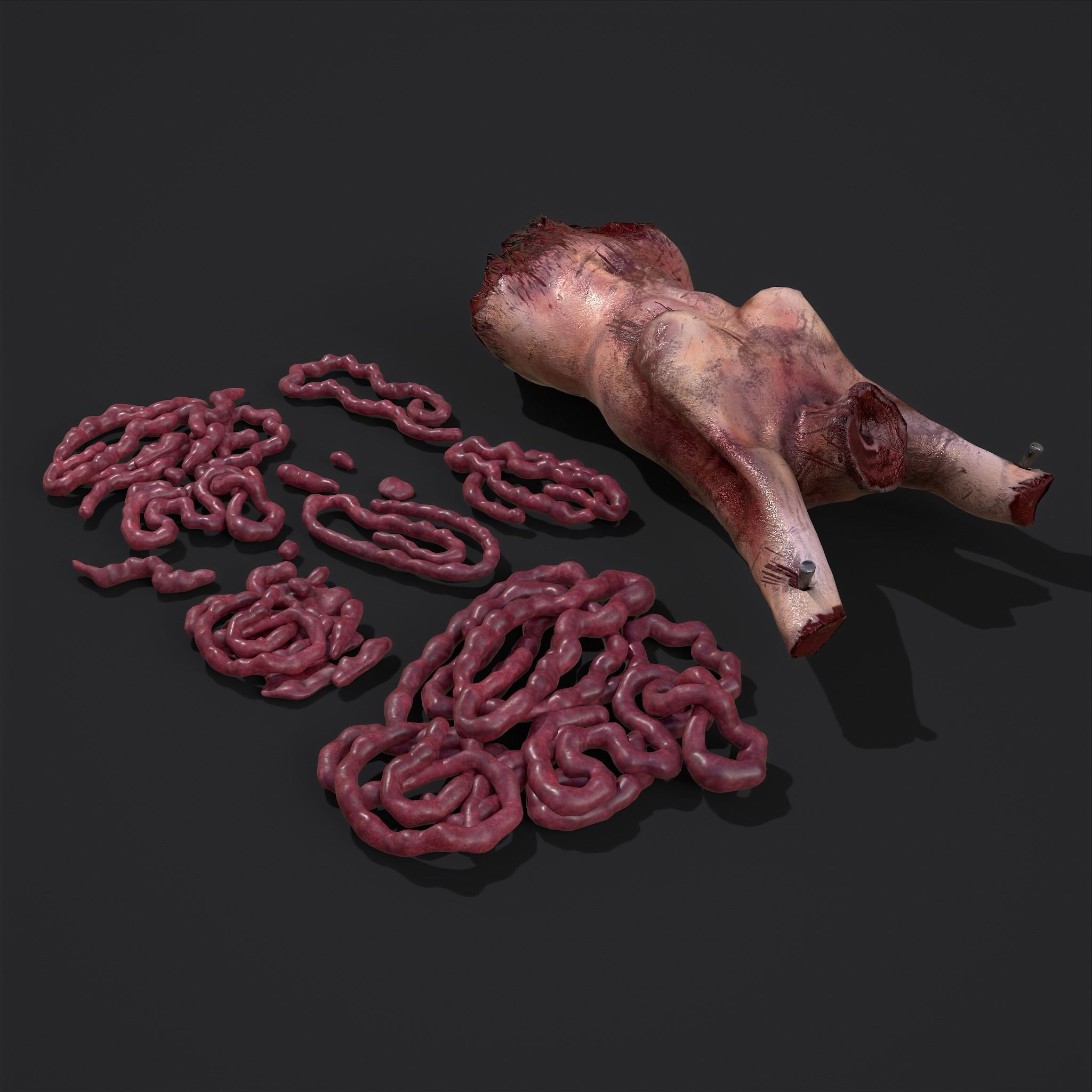 Severed Body Parts Medium Pack 3D Model Collection_23