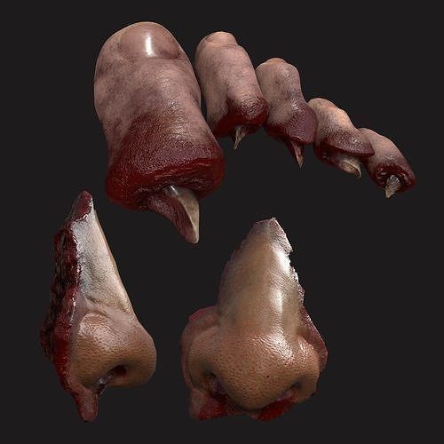Severed Body Parts Medium Pack 3D Model Collection_36