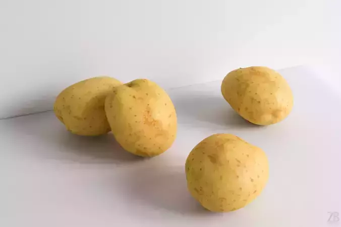 Potato 3D model