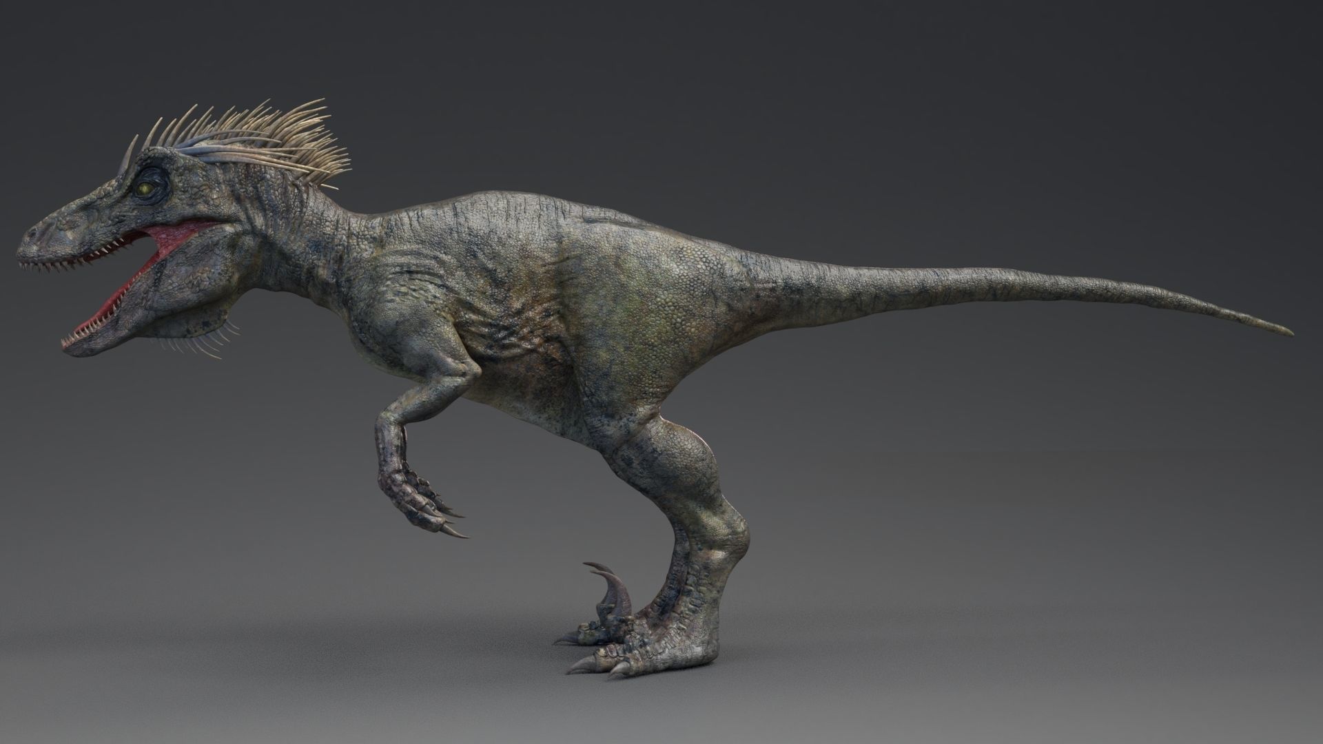 Dinosaur UtahRaptor PBR Project Low-poly 3D model_7