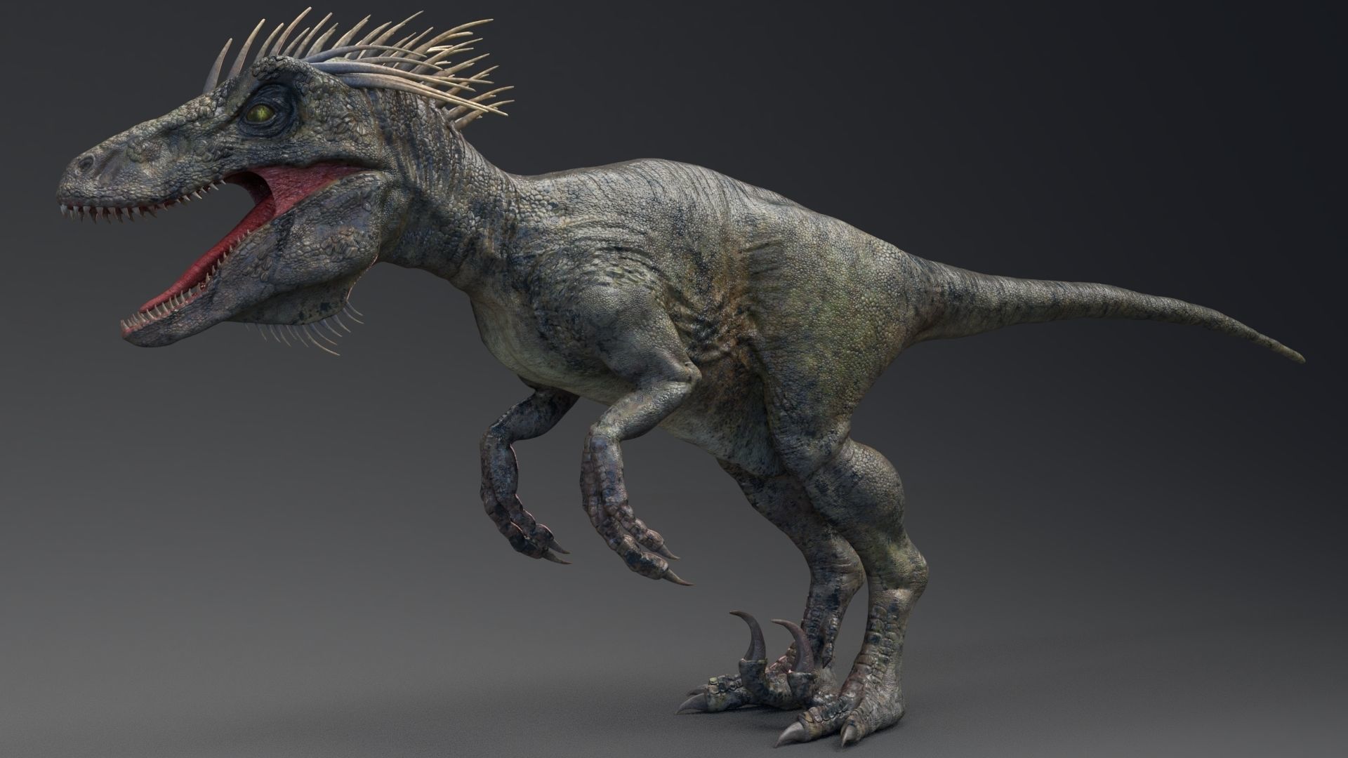 Dinosaur UtahRaptor PBR Project Low-poly 3D model_4