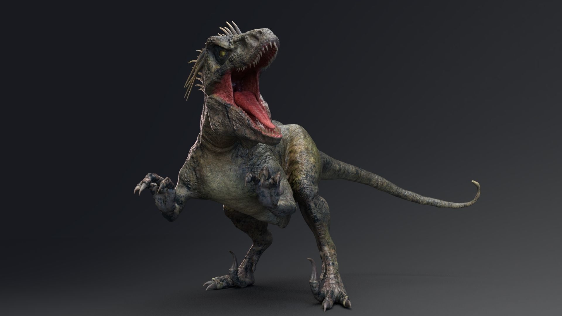 Dinosaur UtahRaptor PBR Project Low-poly 3D model_11