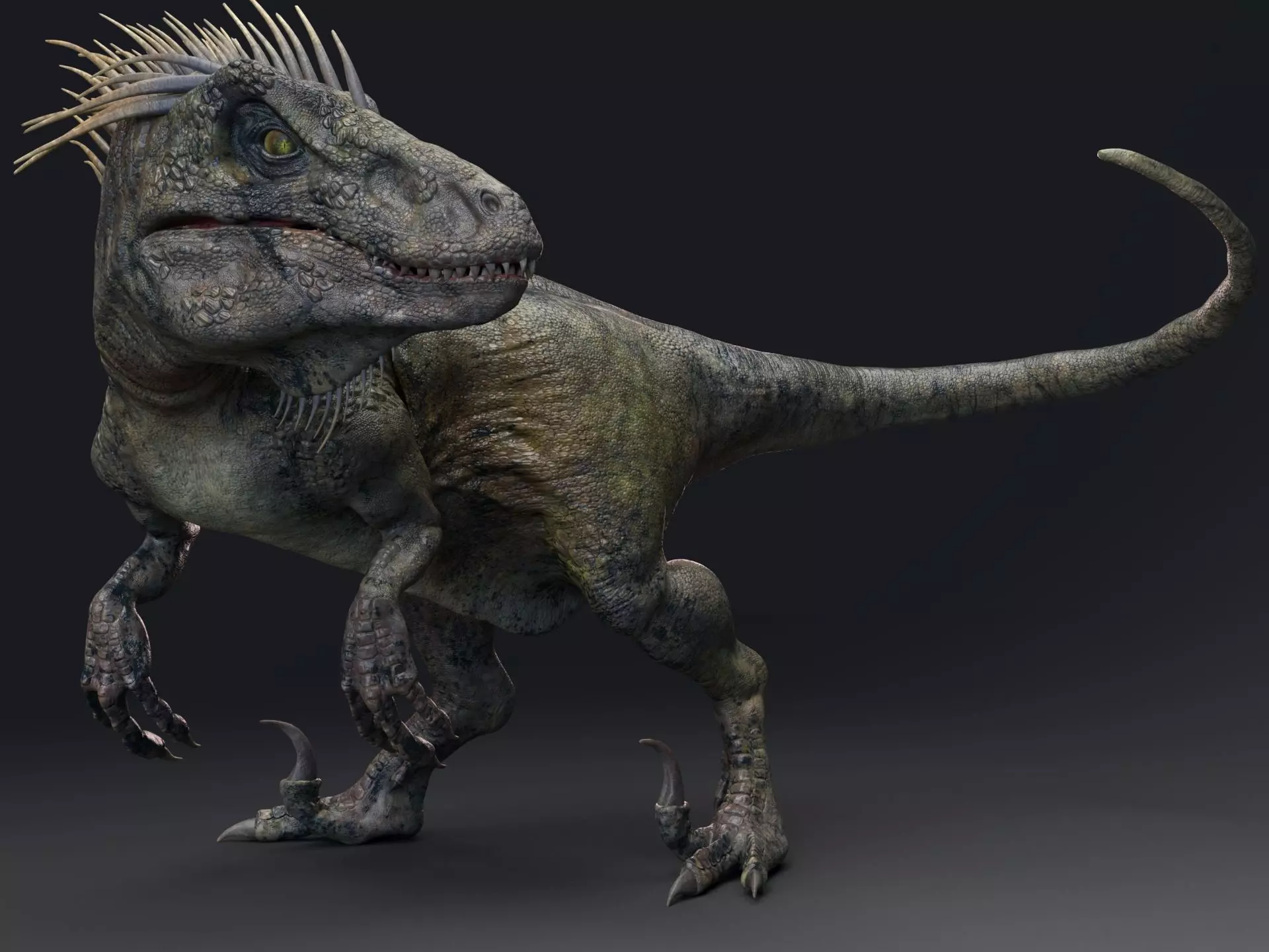 Dinosaur UtahRaptor PBR Project Low-poly 3D model_0