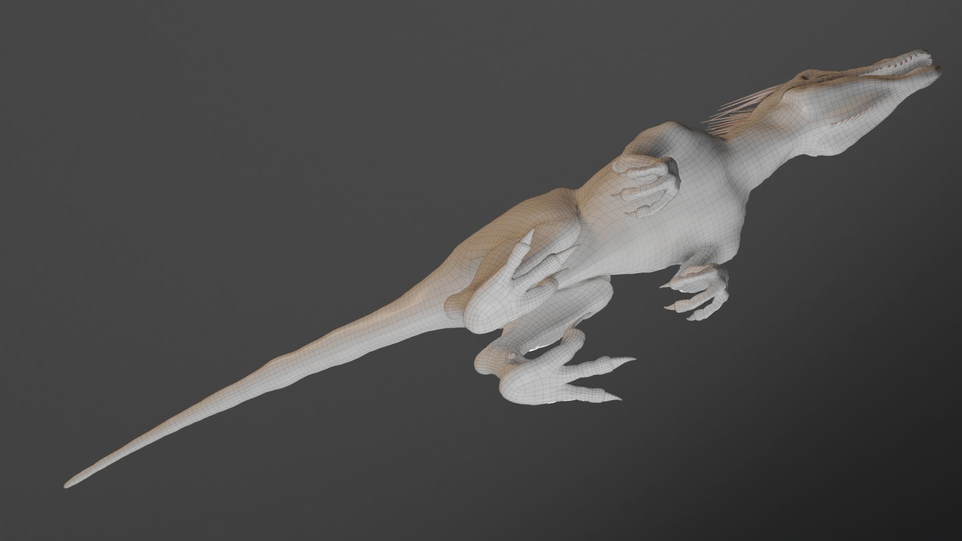 Dinosaur UtahRaptor PBR Project Low-poly 3D model_23