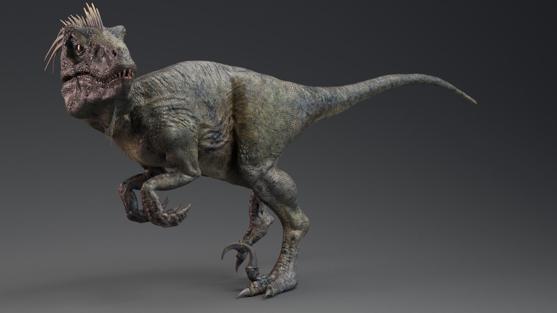 Dinosaur UtahRaptor PBR Project Low-poly 3D model_15