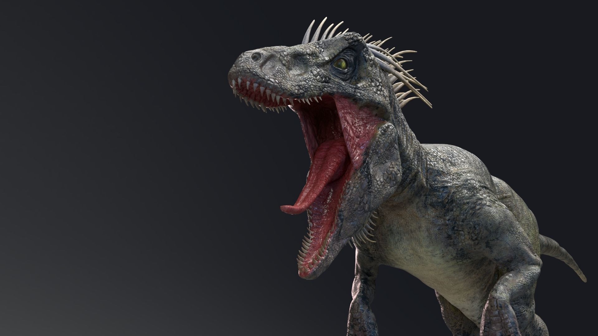 Dinosaur UtahRaptor PBR Project Low-poly 3D model_10