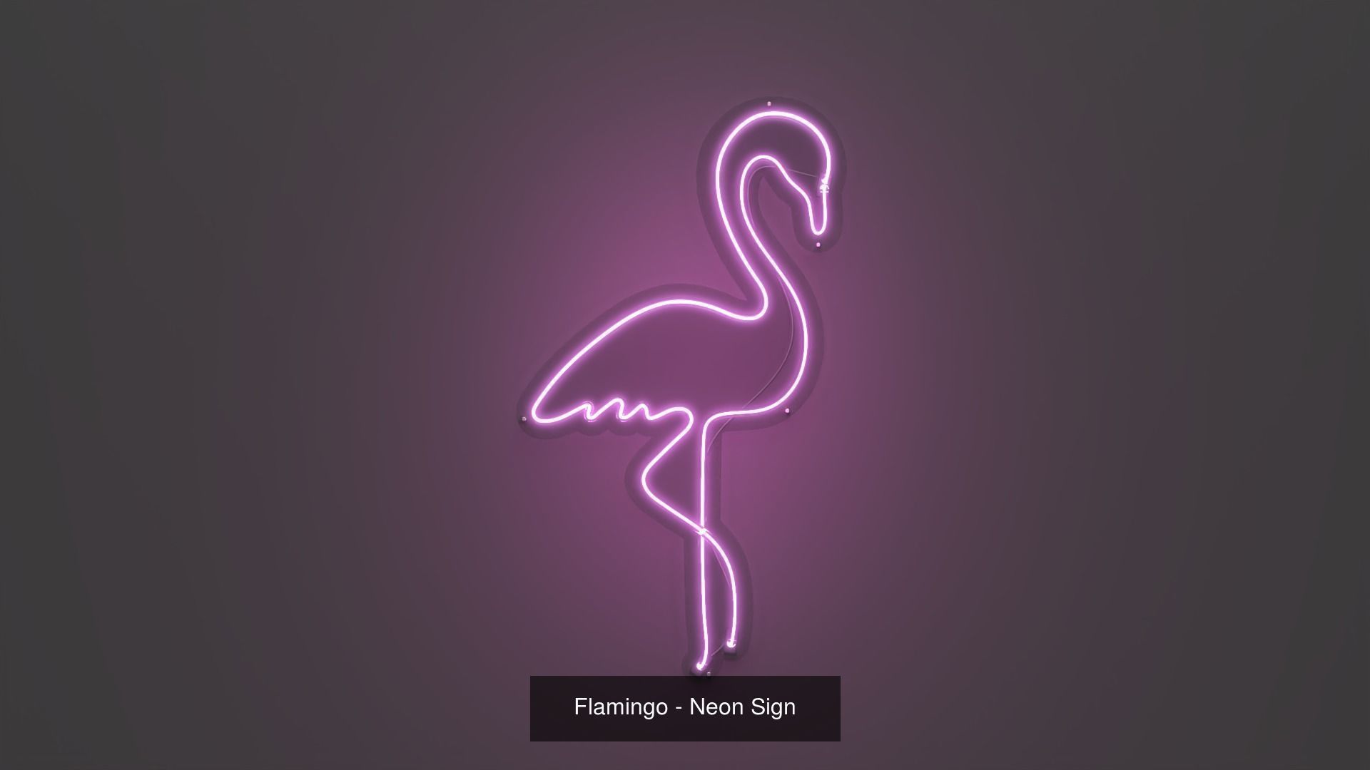 First 50 Neon Signs - NEONPLEX SPECIAL PACK 3D Model Collection_47