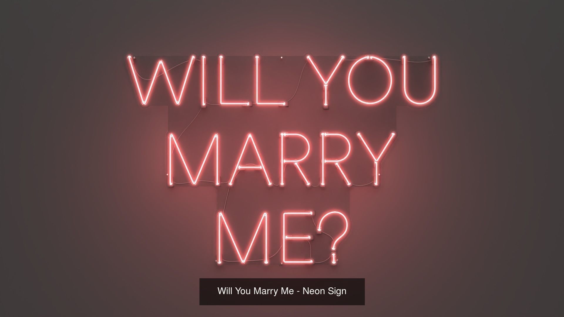 First 50 Neon Signs - NEONPLEX SPECIAL PACK 3D Model Collection_52