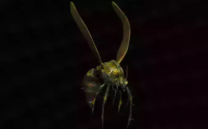 fly insect 3D model