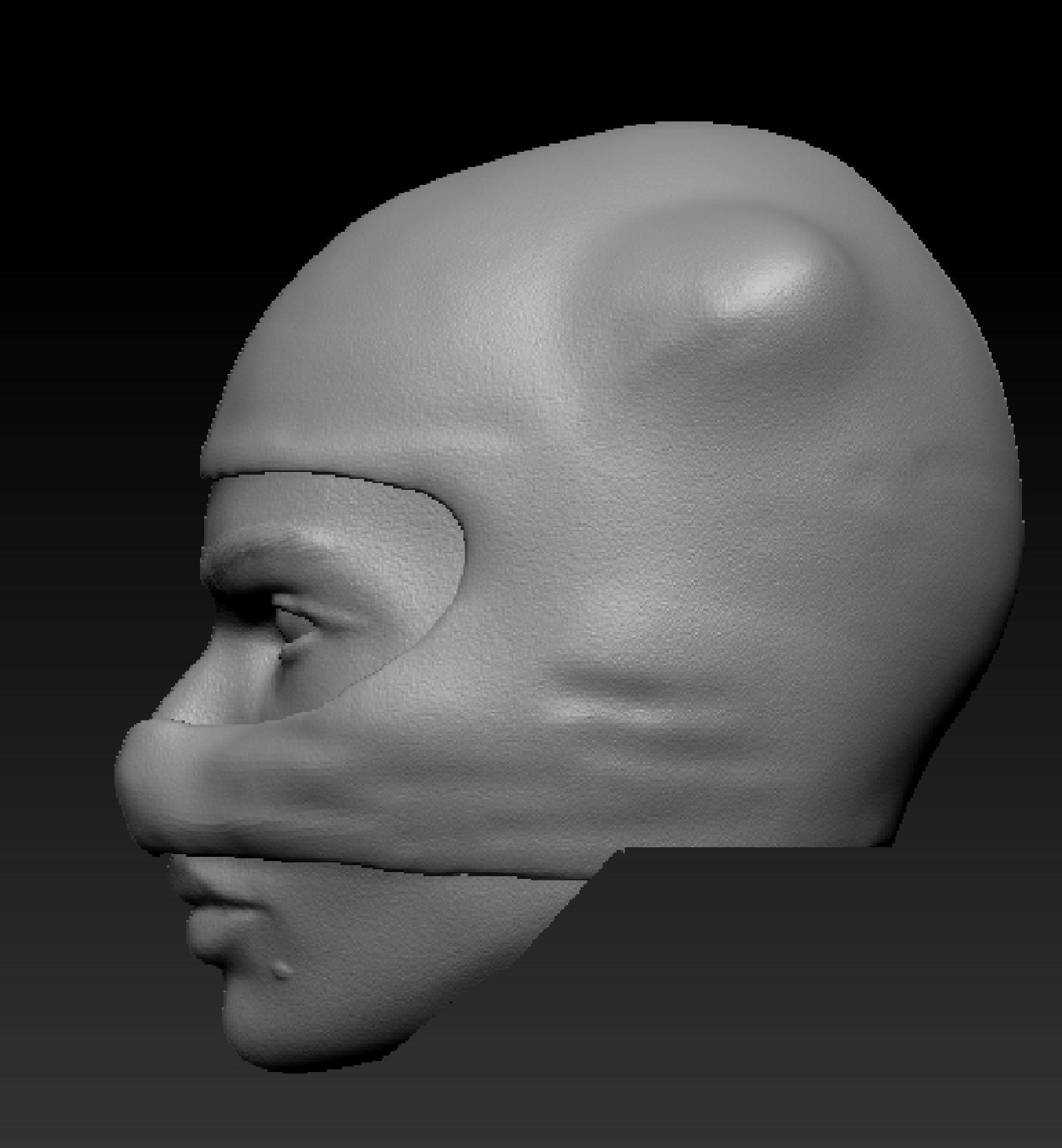 Cat Woman 2022 Masked Headsculpts 3D print model_1