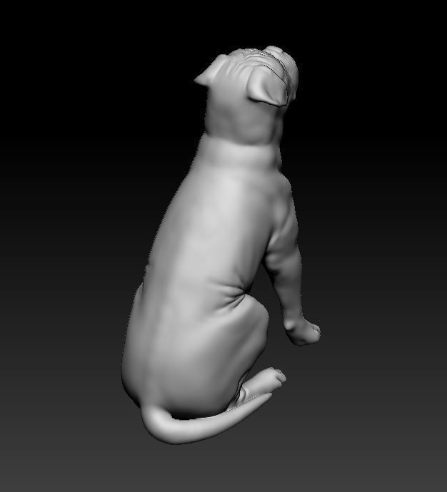Dogue do Bordeaux 3D print model_11