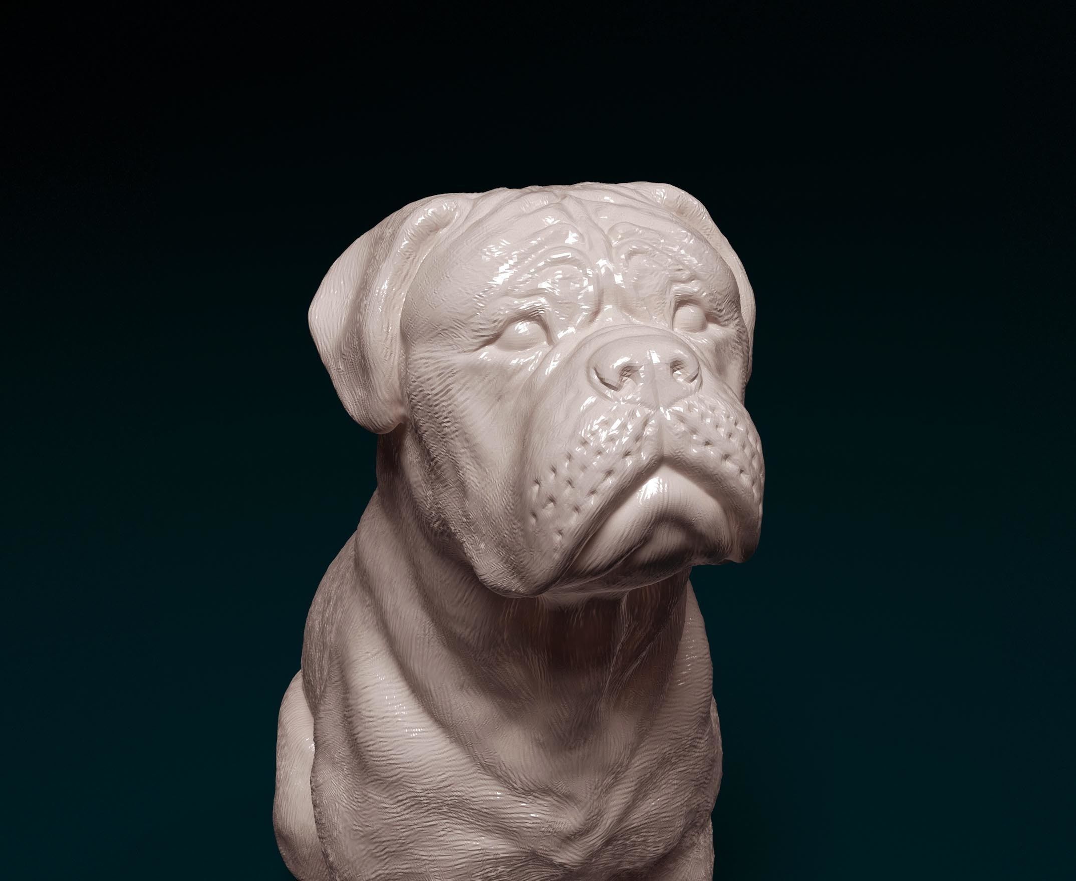 Dogue do Bordeaux 3D print model_3