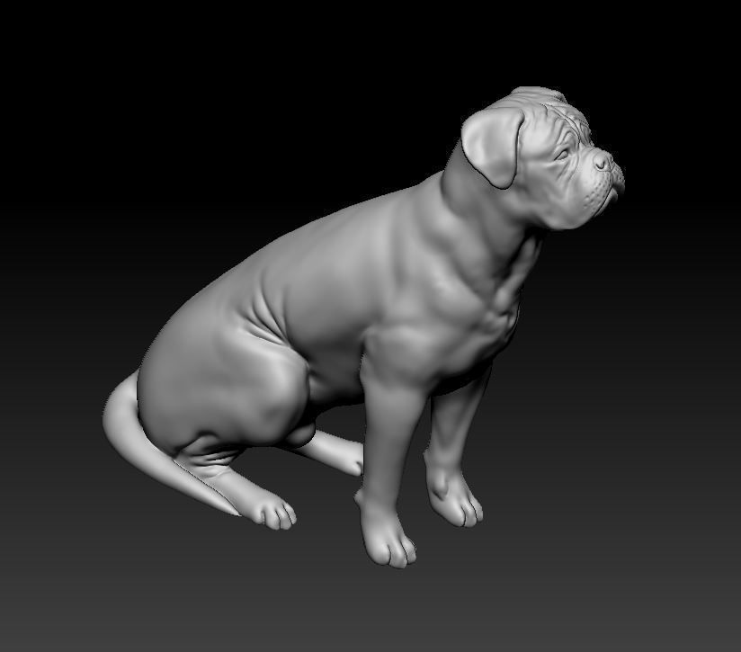 Dogue do Bordeaux 3D print model_10