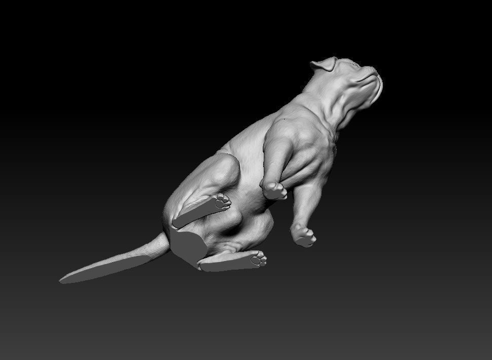 Dogue do Bordeaux 3D print model_8
