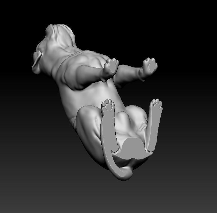 Dogue do Bordeaux 3D print model_12