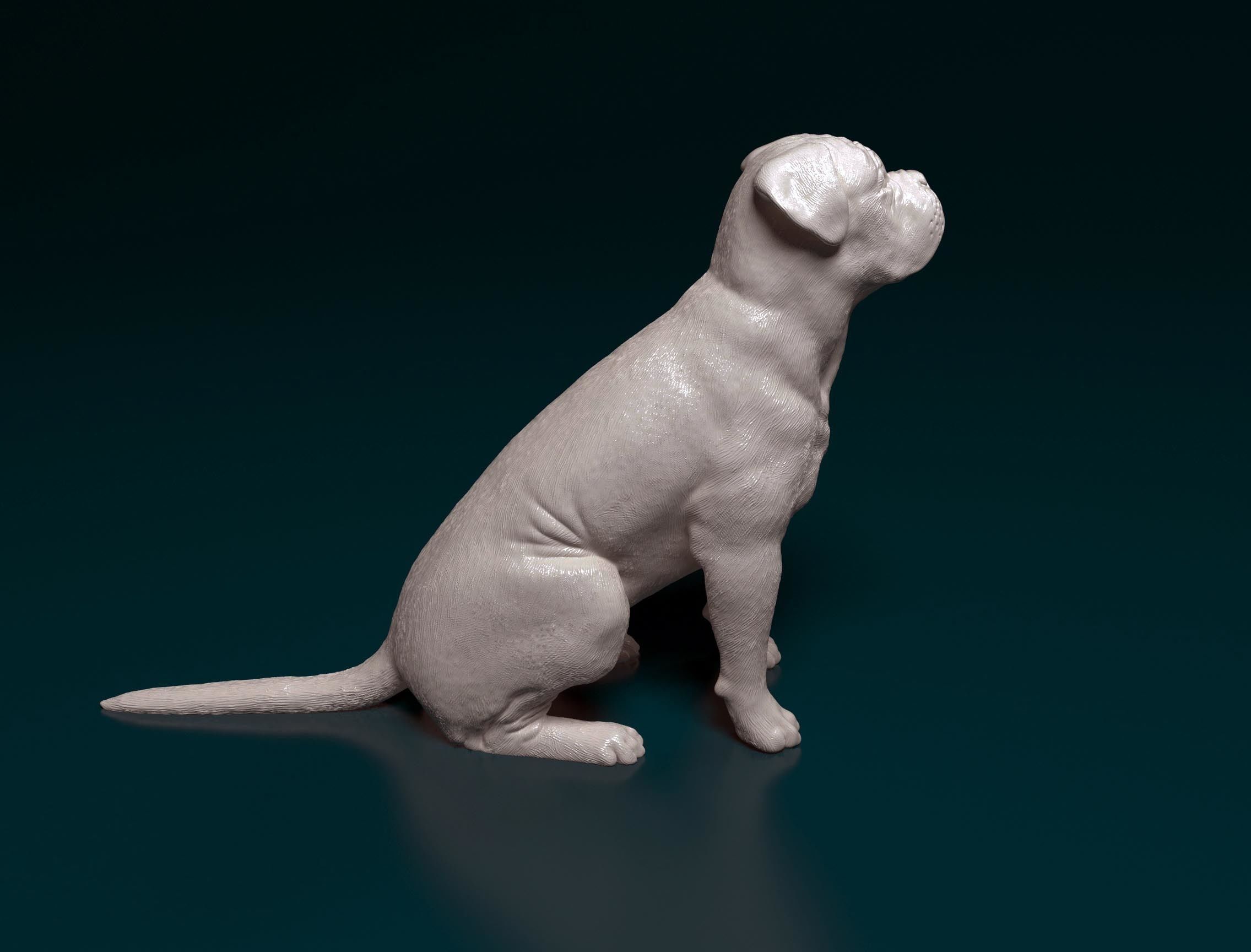 Dogue do Bordeaux 3D print model_2