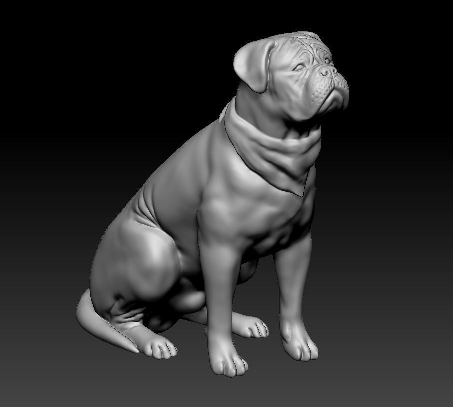 Dogue do Bordeaux 3D print model_4