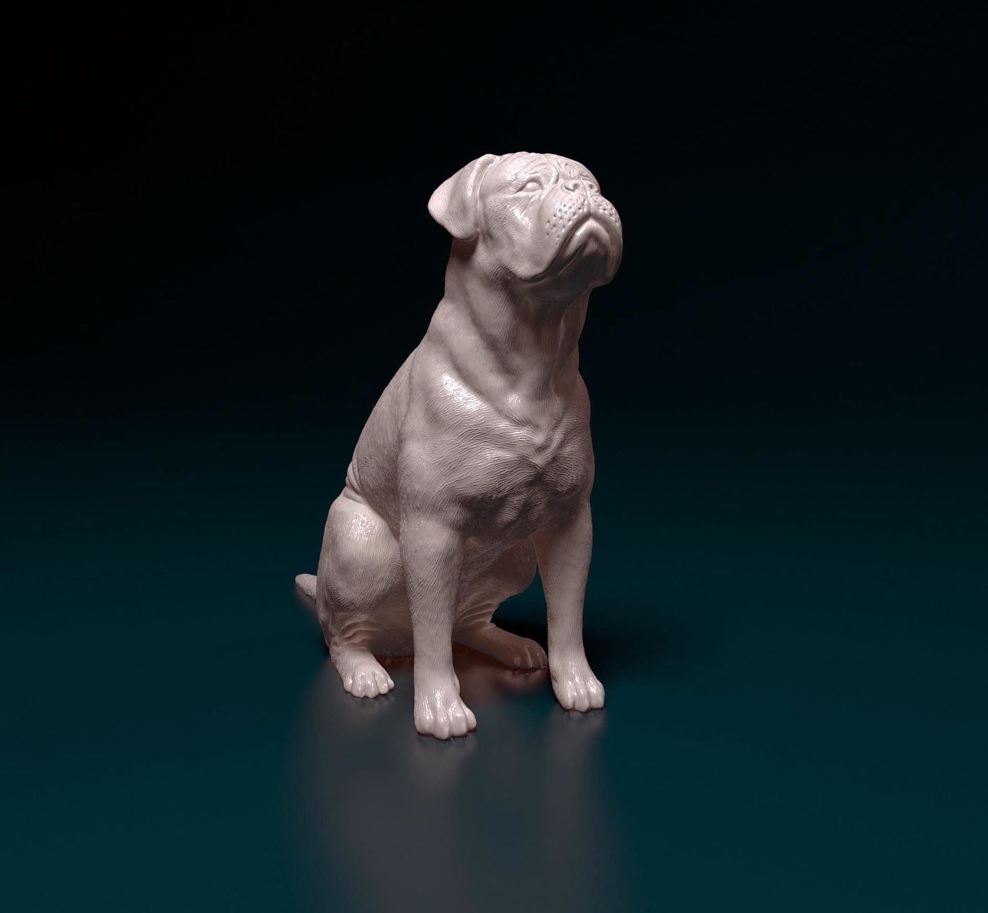 Dogue do Bordeaux 3D print model_1
