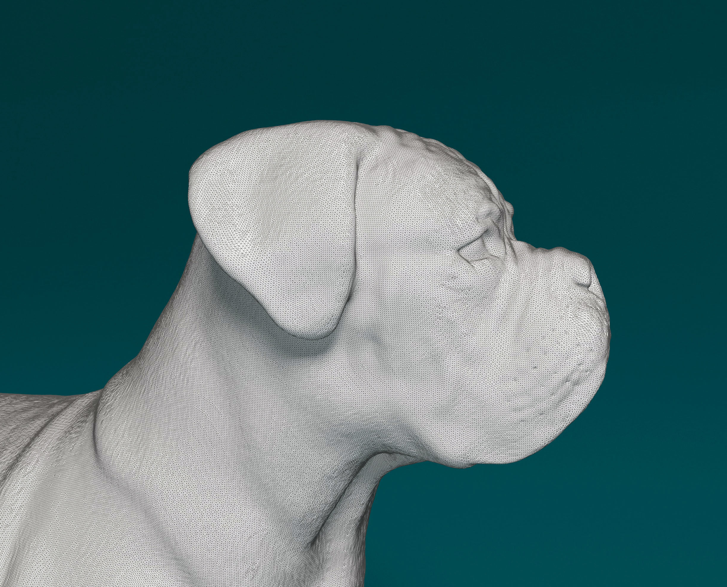 Dogue do Bordeaux 3D print model_6