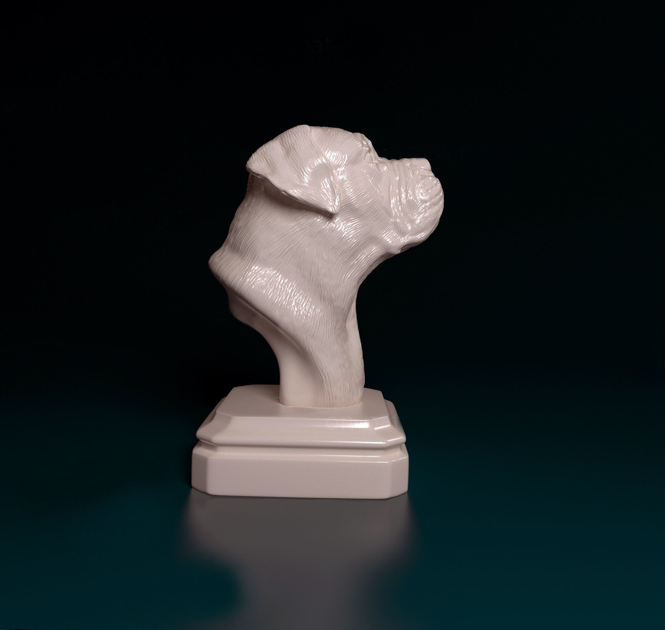 Dogue do Bordeaux bust 3D print model_2