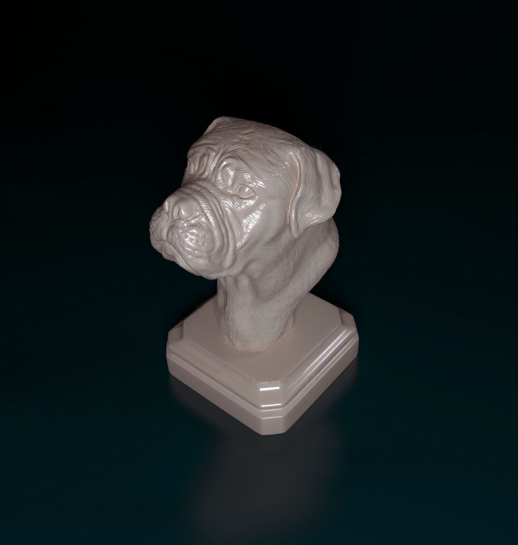 Dogue do Bordeaux bust 3D print model_4
