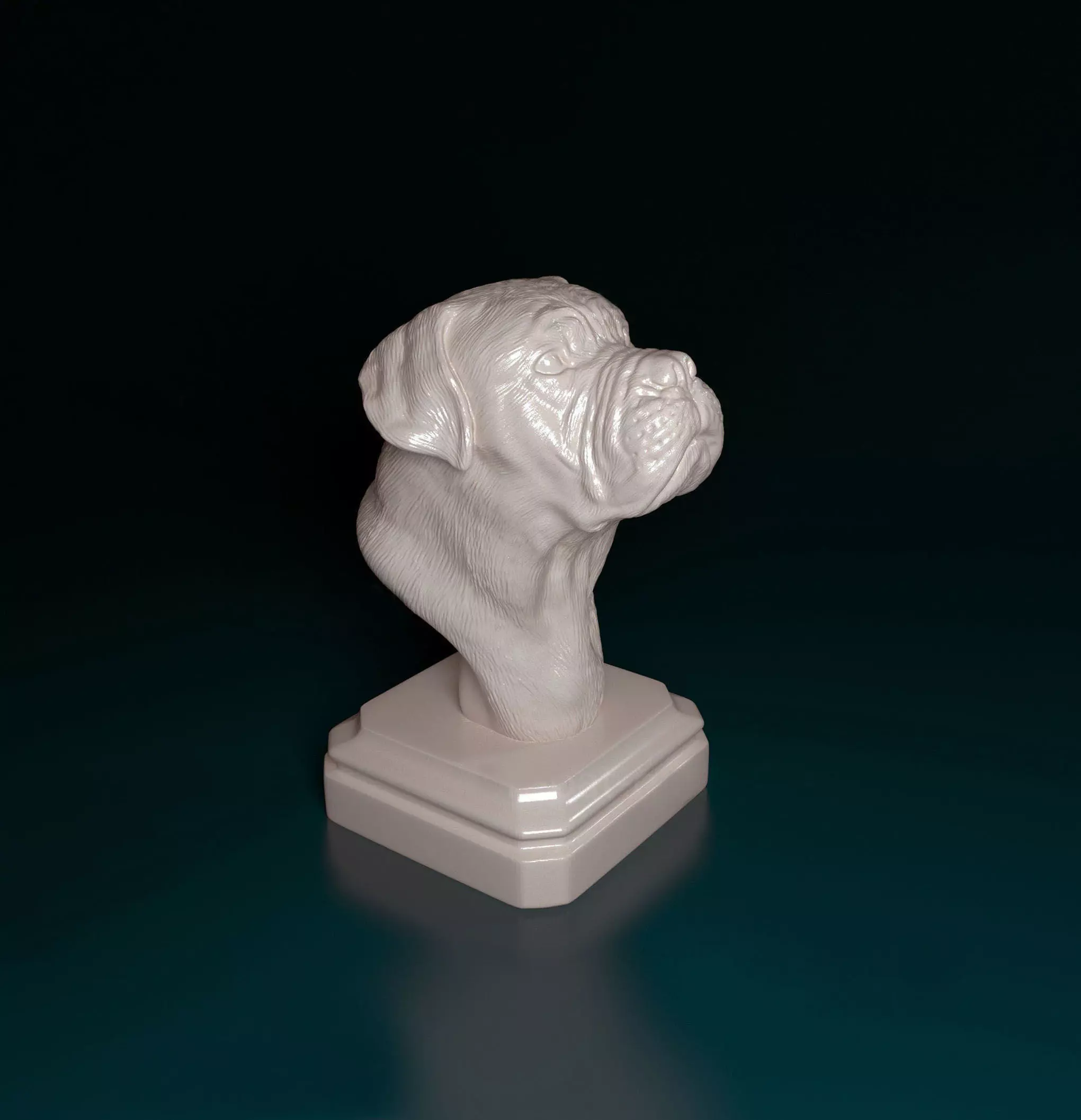Dogue do Bordeaux bust 3D print model_0