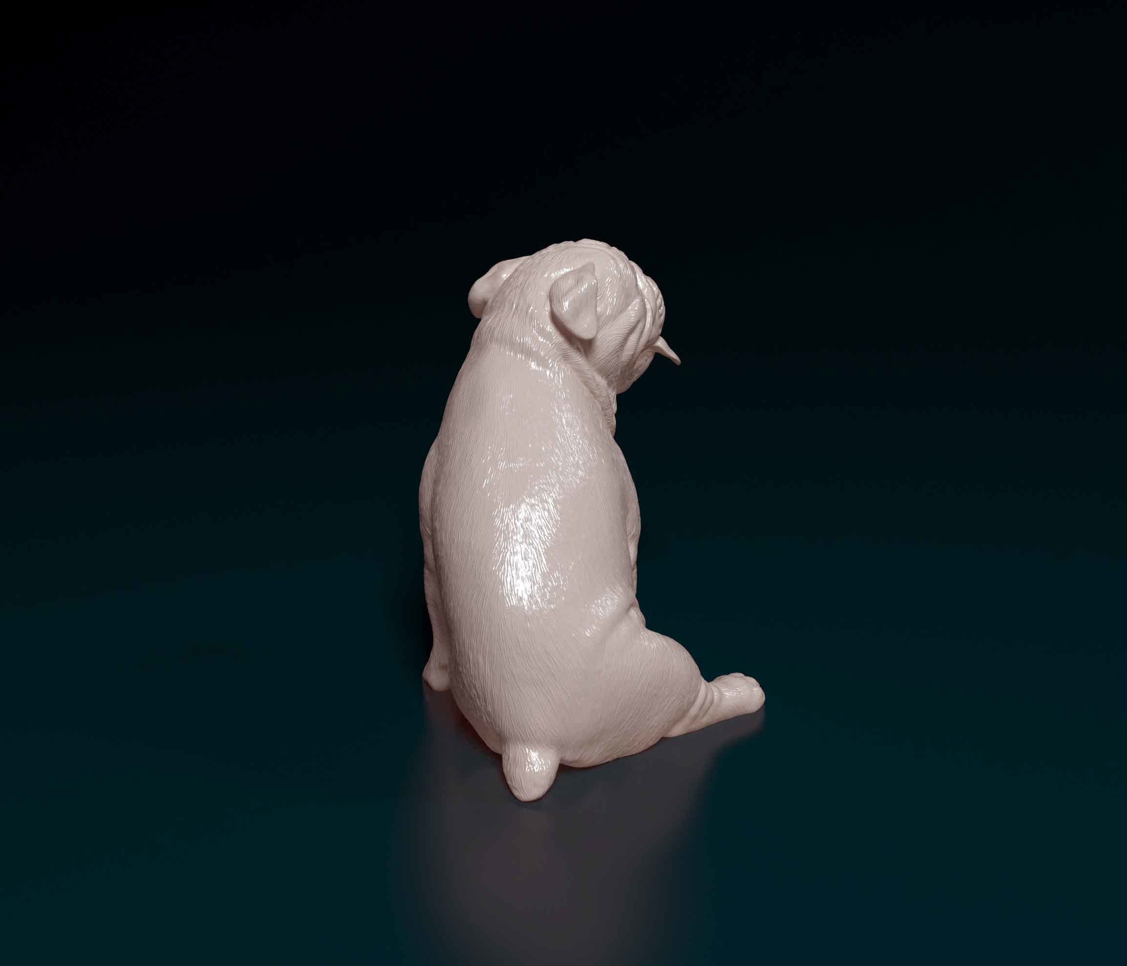 English Bulldog 3D print model_3