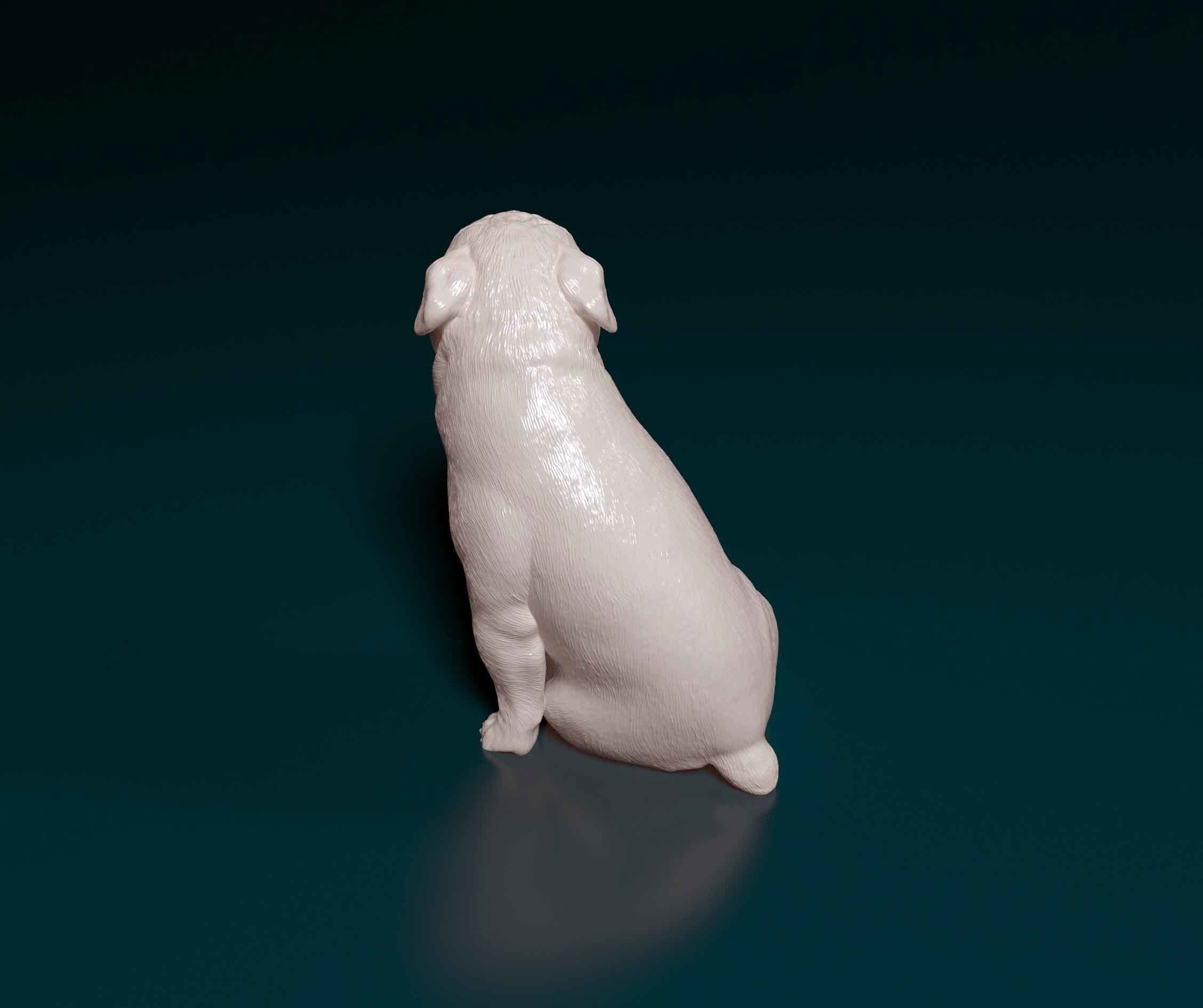 English Bulldog 3D print model_4