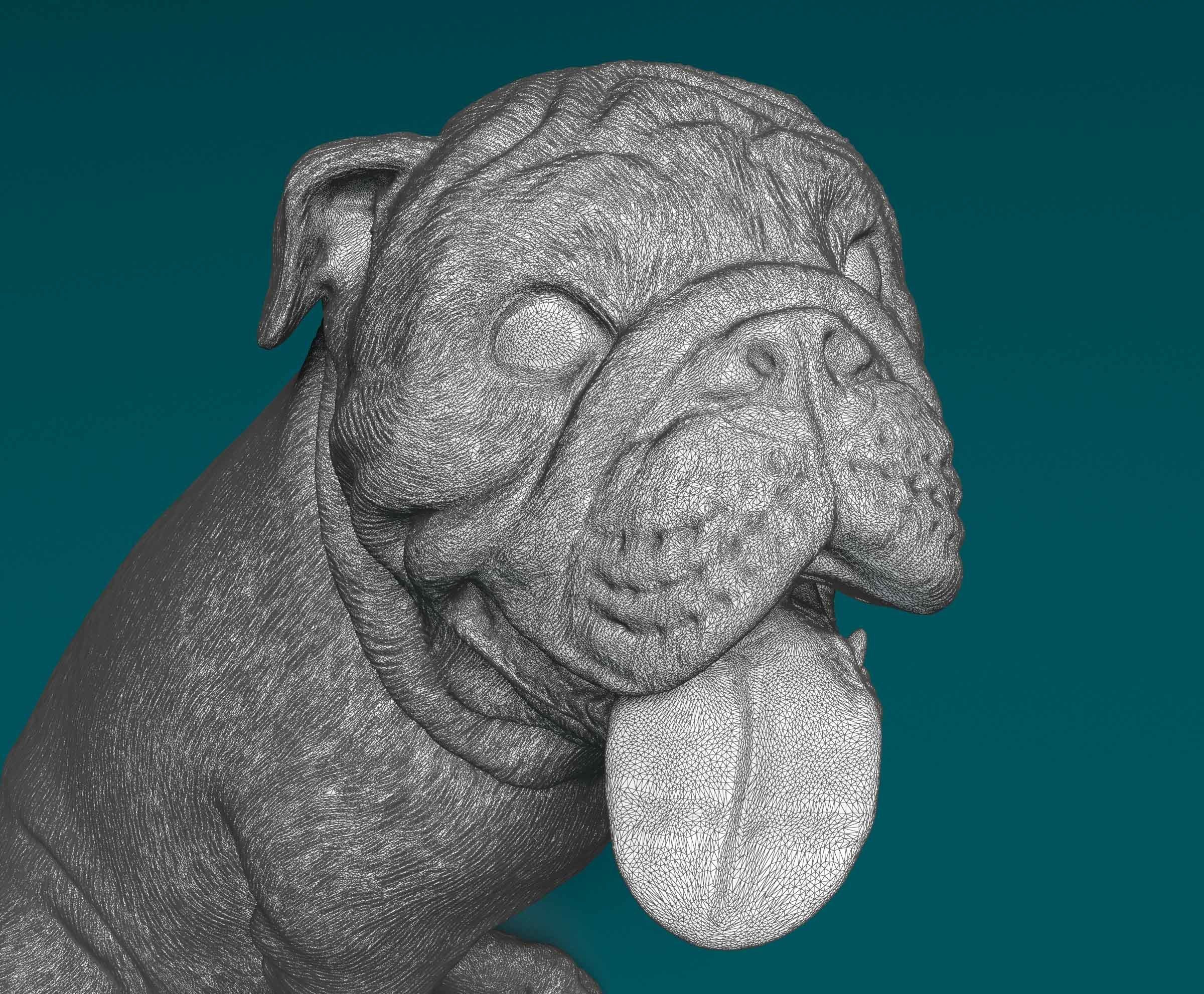English Bulldog 3D print model_7